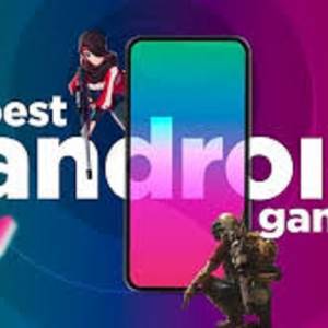 expert code RachelCurley